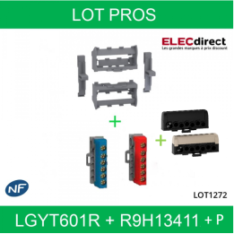 Schneider - Resi9 - Kit supports borniers pour coffrets Resi9 et Pragma ou tout rail Din - LGYT601R+R9H13411 + R9H13411P