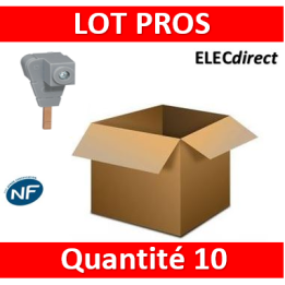 Legrand - Borne de raccordement pour tout peigne - section 6 à 35 mm² - 404906x10