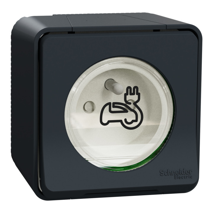 Schneider - Mureva Styl - Prise courant 2P+T - renforcée pour VE - saillie - IP55 - IK08 - gris - MUR36010