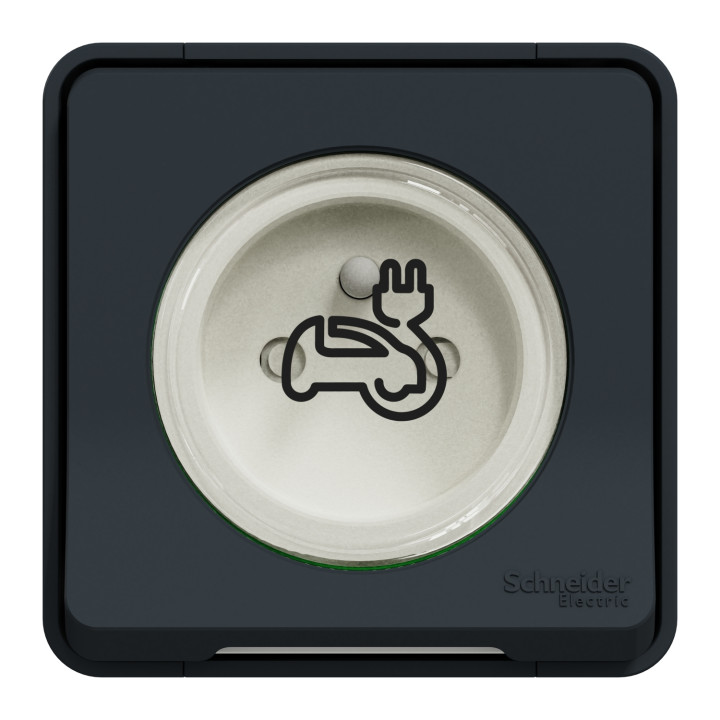 Schneider - Mureva Styl - Prise courant 2P+T - renforcée pour VE - saillie - IP55 - IK08 - gris - MUR36010
