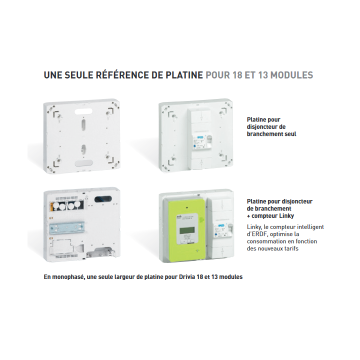 Legrand - Platine avec Disjoncteur branchement EDF 60A - Sélectif - 500mA - 1P+N - Réf : LEGPLATDB60