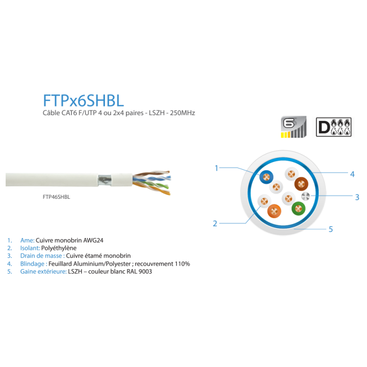 CAE - Câble RJ45 Catégorie 6 F/UTP 4P - Couronne de 100m - Réf : FTP46SHBL1