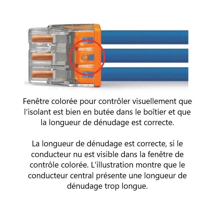 WAGO - Boîte de 100 Bornes auto fils rigide 4 x 2,5mm2 - Réf.: WAG 2273-204