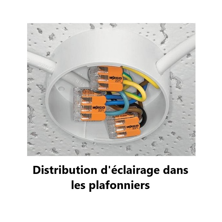 WAGO - Boîte de 25 Bornes auto fils Souple / Rigide 5 x (0.08 à 4mm2) - Réf.: WAG 221-415