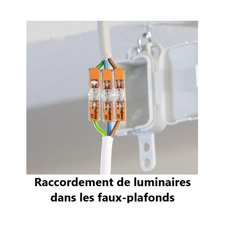 Wago - Boîte de 60 Bornes auto fils souples/rigides x 1 (0,2 à 4 mm2) - Réf.: 221-2411