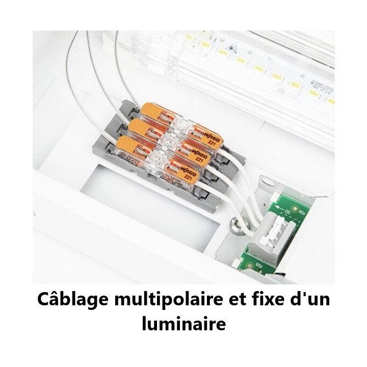 Wago - Boîte de 60 Bornes auto fils souples/rigides x 1 (0,2 à 4 mm2) - Réf.: 221-2411