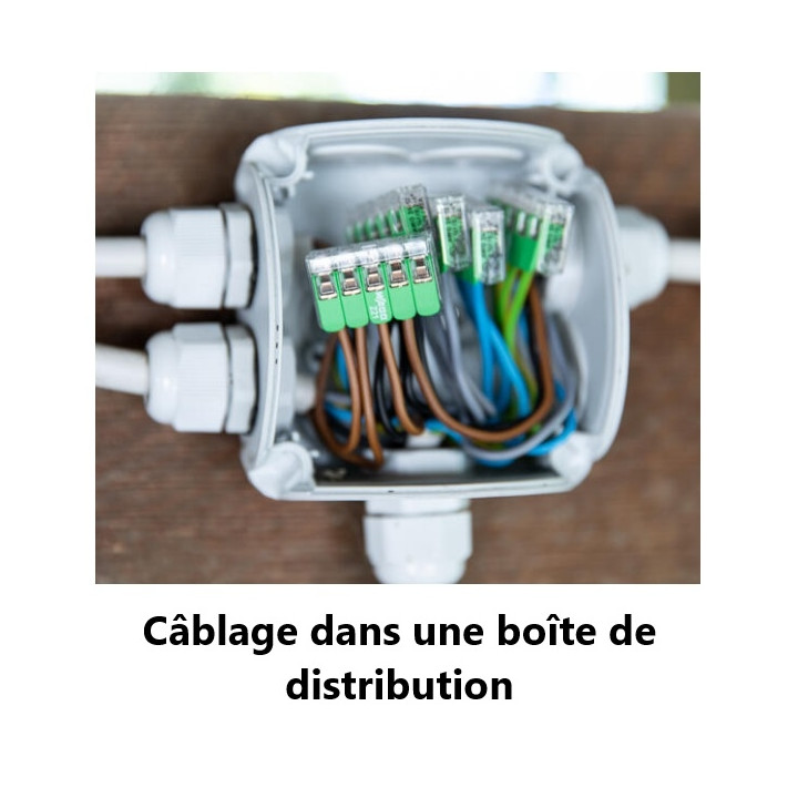 WAGO - Boîte de 25 Bornes Verte auto fils souple et rigide 0,2 à 4mm2 - Réf.: WAG 221-425