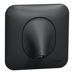 Schneider Ovalis - Sortie de câble - Fixation VIS ANTHRACITE - Réf.: S466662