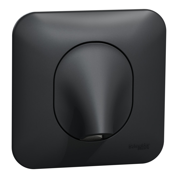 Schneider Ovalis - Sortie de câble - Fixation VIS ANTHRACITE - Réf.: S466662