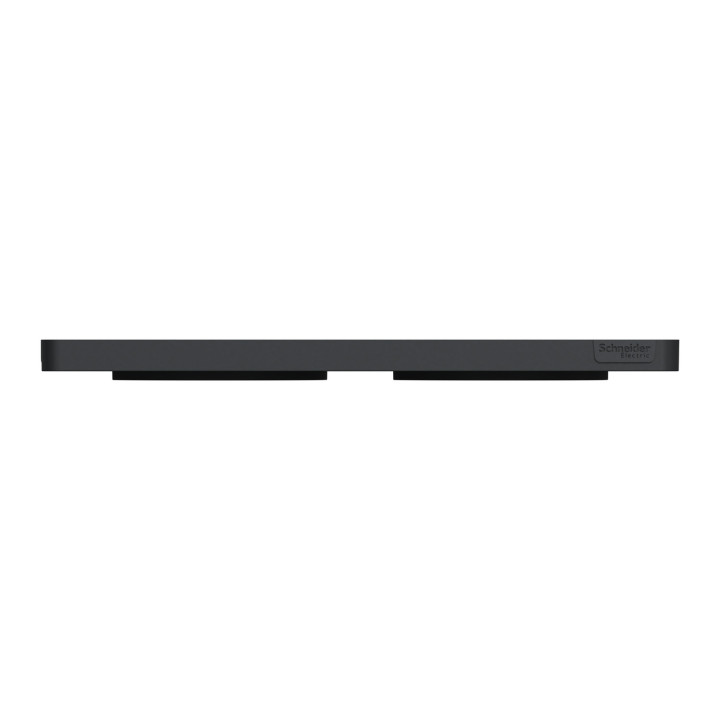 Schneider - Odace - Touch - Plaque 2 postes - entraxe 71 mm - ALU brossé avec liseré anthracite - Réf : S540804J
