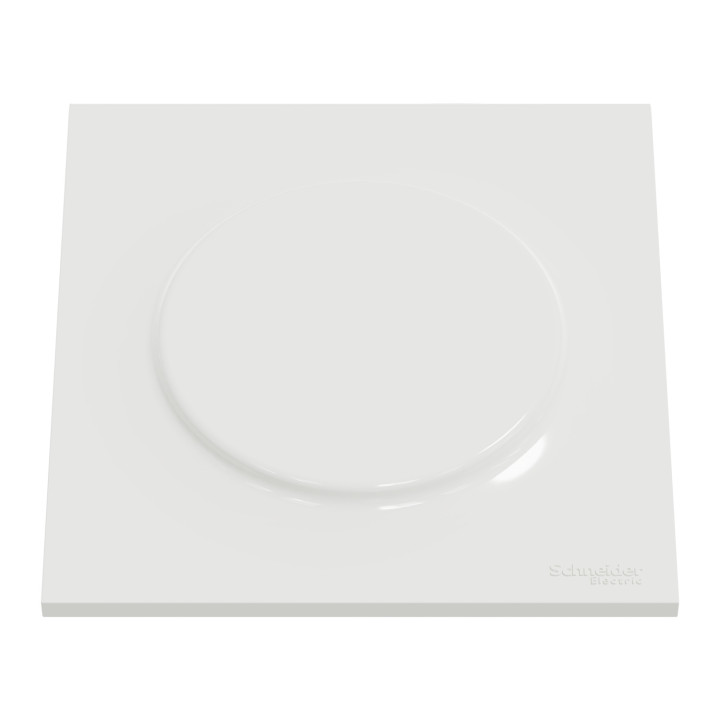 Schneider - Odace - Styl Pratic - Plaque 1 poste - Cache intégré - Blanc - Réf : S520752