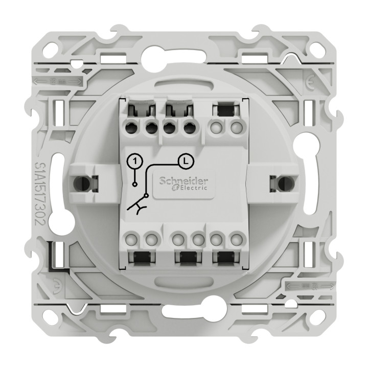 Schneider - Odace - Bouton poussoir - Aluminium - 10A - 250V - Bornes auto - Réf : S530206