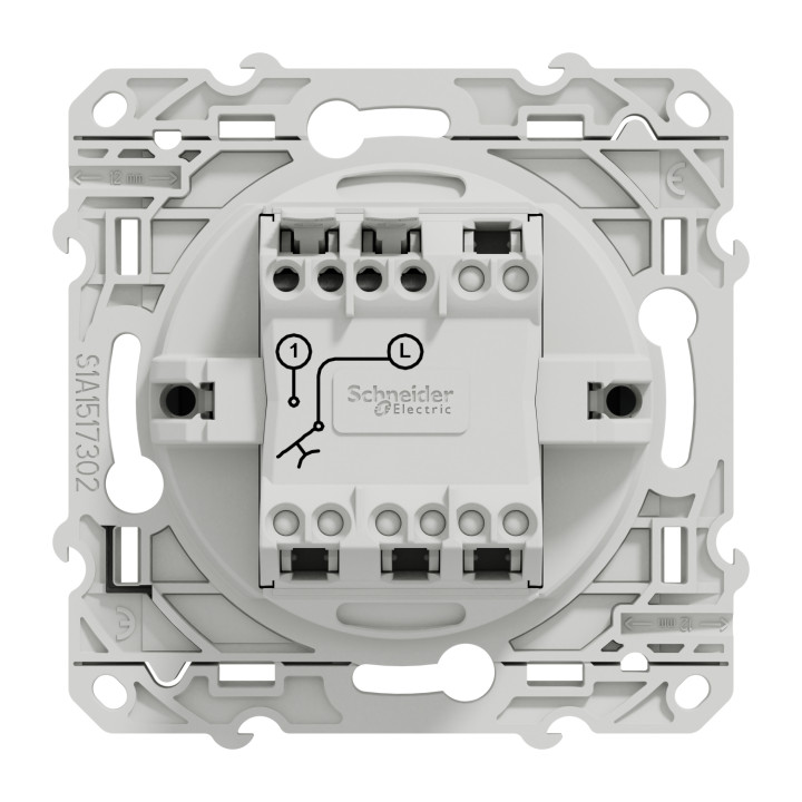 Schneider - Odace - Bouton poussoir - Anthracite - 10A - 250V - Bornes auto - Réf : S540206