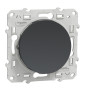 Schneider - Odace - Bouton poussoir - Anthracite - 10A - 250V - Bornes auto - Réf : S540206