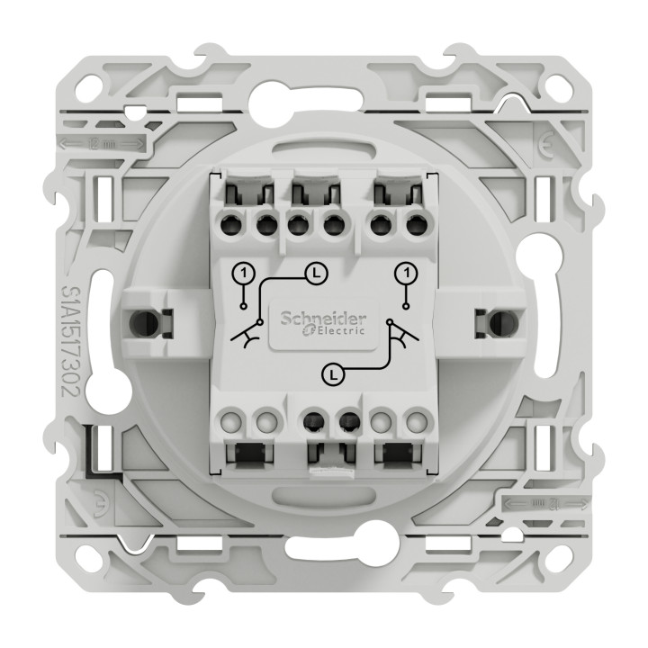 Schneider - Odace - Double Poussoir - aluminium - 10A - 250V - Réf : S530216