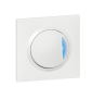 Legrand - Dooxie - Lot prêt à poser en encastré - Interrupteur/va-et-vient témoin blanc avec plaque de finition blanche