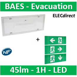 Schneider - Exiway ESI bloc autonome éclairage sécurité, SATI, led, IP42 - OVA58000