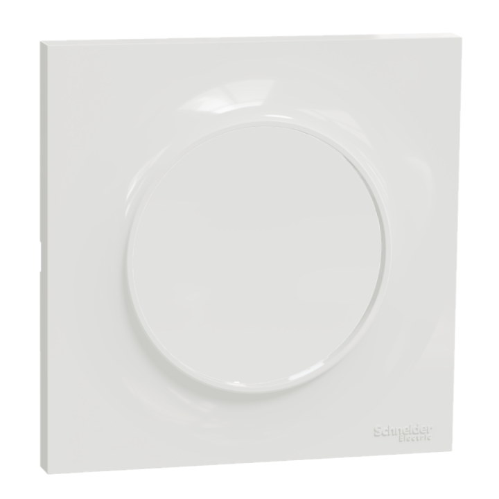 Schneider Odace - LOT - Va et Vient + plaque - complet - s520204  x10 + s520702 x10