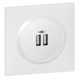 Legrand - Dooxie - LOT Double chargeur USB Type-A  2,4A finition + plaque blanche - Réf : 600343+600801