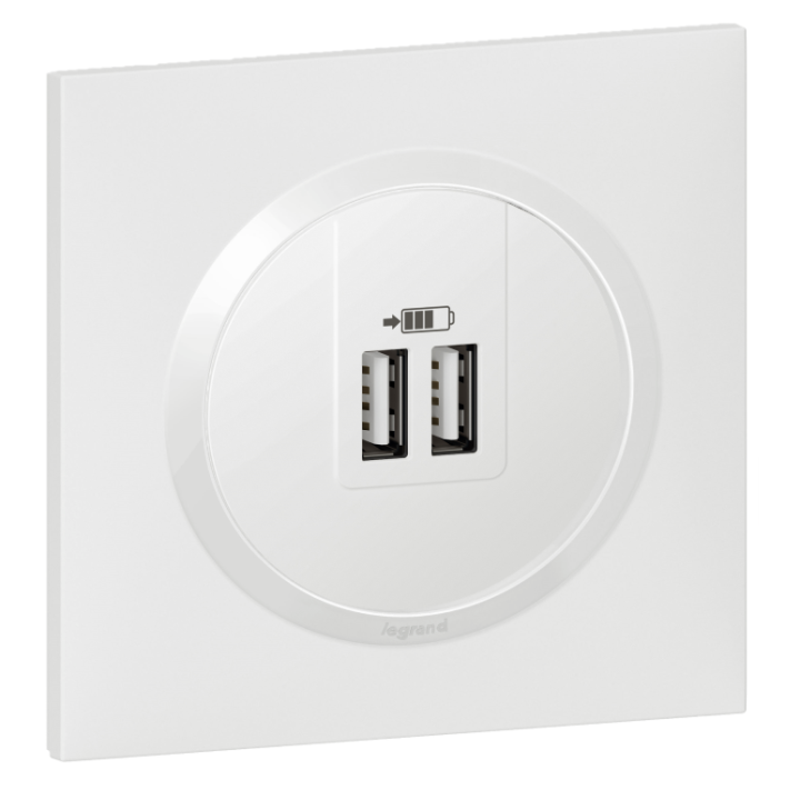 Legrand - Dooxie - LOT Double chargeur USB Type-A  2,4A finition + plaque blanche - Réf : 600343+600801
