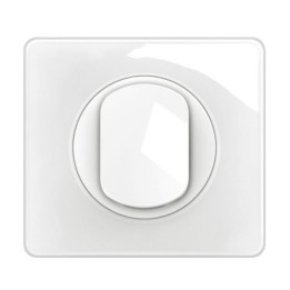 Legrand - Céliane 2024 - Permutateur complet blanc 1 poste - Réf : 080251 + CM0005 + CB0005 + CP0001