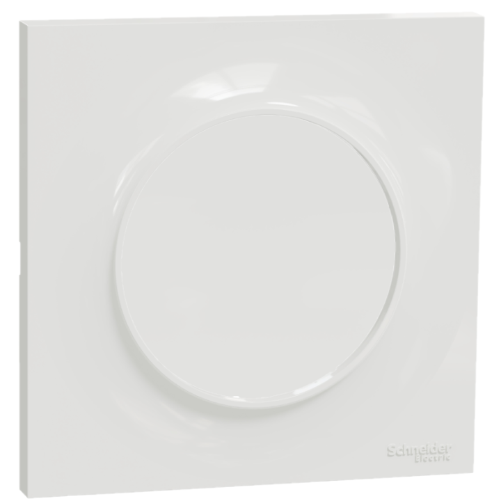 Schneider Odace - Va-et-Vient lumineux/Témoin LED orange + plaque - s520263 + s520702