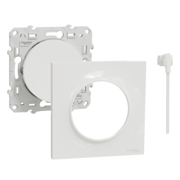 Schneider Odace - Va-et-Vient lumineux/Témoin LED orange + plaque - s520263 + s520702