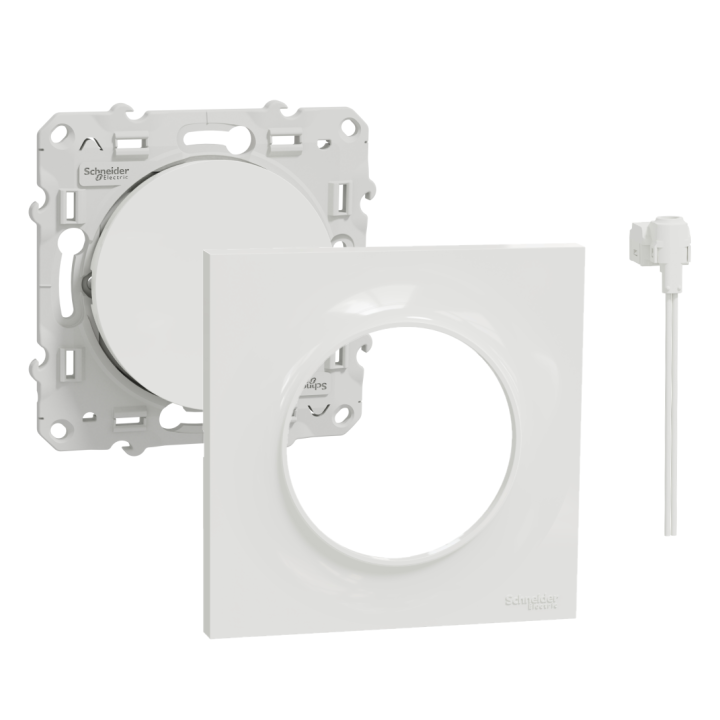 Schneider Odace - Va-et-Vient lumineux/Témoin LED orange + plaque - s520263 + s520702