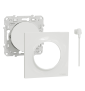 Schneider Odace - Va-et-Vient lumineux/Témoin LED orange + plaque - s520263 + s520702