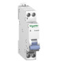 SCHNEIDER DISJONCTEUR DUOLINE D'CLIC XP - 2A - VIS/VIS - 20724