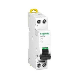 SCHNEIDER - Disjoncteur Ph/N 40A DT40 - 6KA - SCHA9N21029