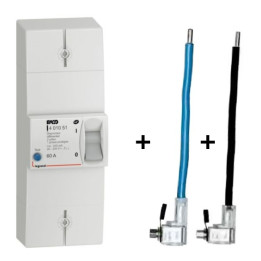 Legrand - Disjoncteur de branchement EDF 60A instantané + Embout EDF 60A 16mm2 - 401051+embout