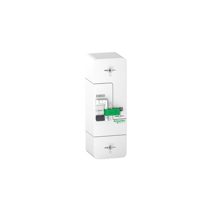 Schneider - Disjoncteur de branchement EDF 60A - Fixe - Instantané - 500mA - Bipolaire - Réf.: R9FT660