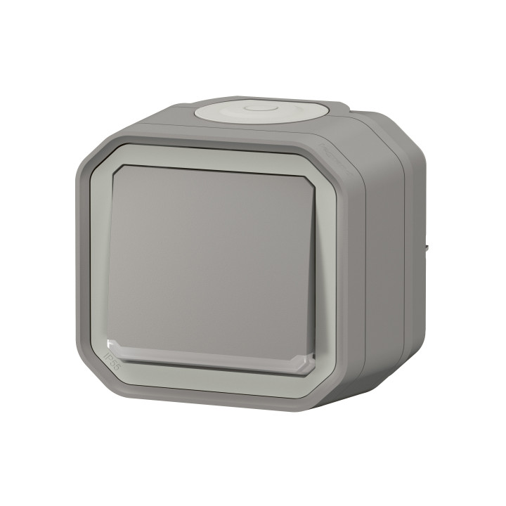Legrand - Plexo - Interrupteur ou Va-et-Vient lumineux 10A - 250V - IP55/IK08 - Réf : 069713L