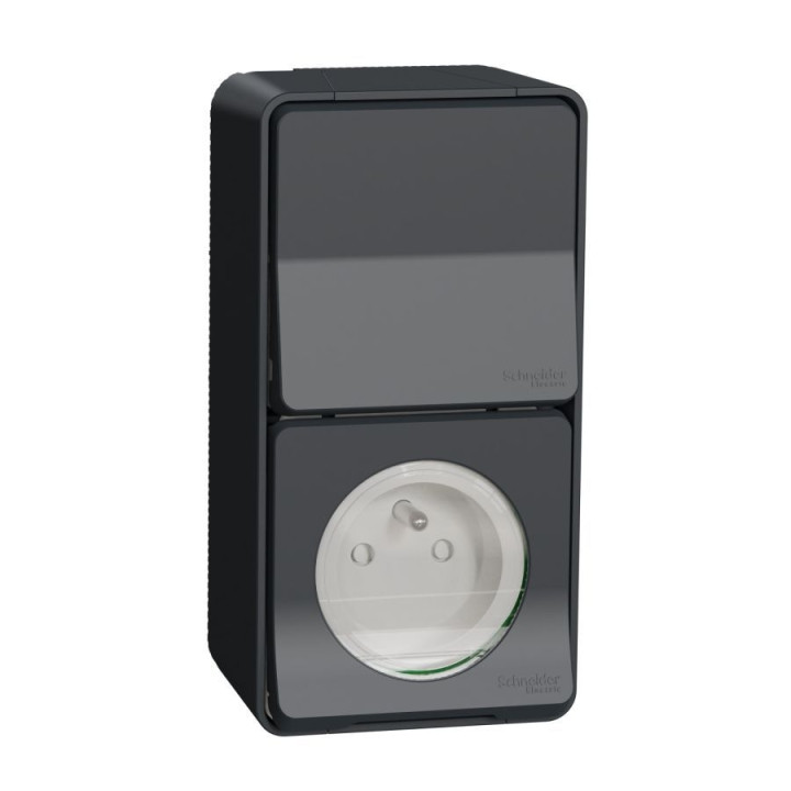 Schneider - Mureva Styl - Prise courant 2P+T + va et vient vertical - saillie - IP55 - IK08 - connexion auto - gris - Réf.: MUR3