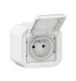 Legrand - Plexo - Prise de courant 2P+T 16A étanche - Saillie- IP55/IK08 - Blanc - Réf : 069781L