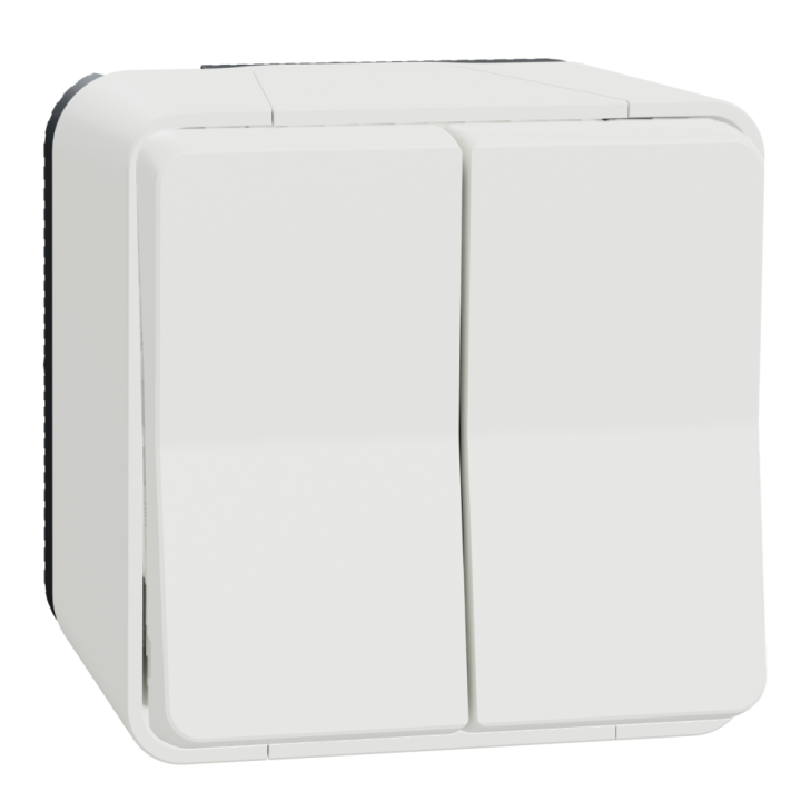 Schneider - Mureva Styl - Double va et vient - saillie - IP55 - IK08 - connexion auto - blanc - Réf : MUR39022+MUR39911
