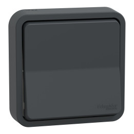 Schneider - Mureva Styl - Va et vient - encastré - IP55 - IK08 - bornes auto - Gris anthr - Réf : MUR35037