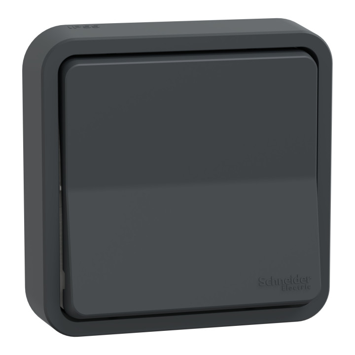 Schneider - Mureva Styl - Va et vient - encastré - IP55 - IK08 - bornes auto - Gris anthr - Réf : MUR35037