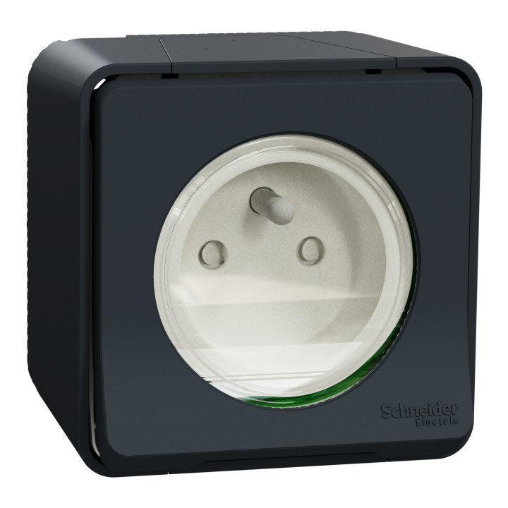 Schneider Mureva Styl - Prise 2P+T avec voyant - Saillie - IP55 IK08 - Connexion auto - Gris - MUR35031+S520291x2