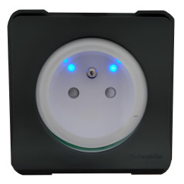 Schneider Mureva Styl - Prise 2P+T avec voyant - Saillie - IP55 IK08 - Connexion auto - Gris - MUR35031+S520291x2