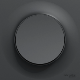 Schneider Odace - Bouton Poussoir - Anthracite - Complète - Réf : S540204 + S540702