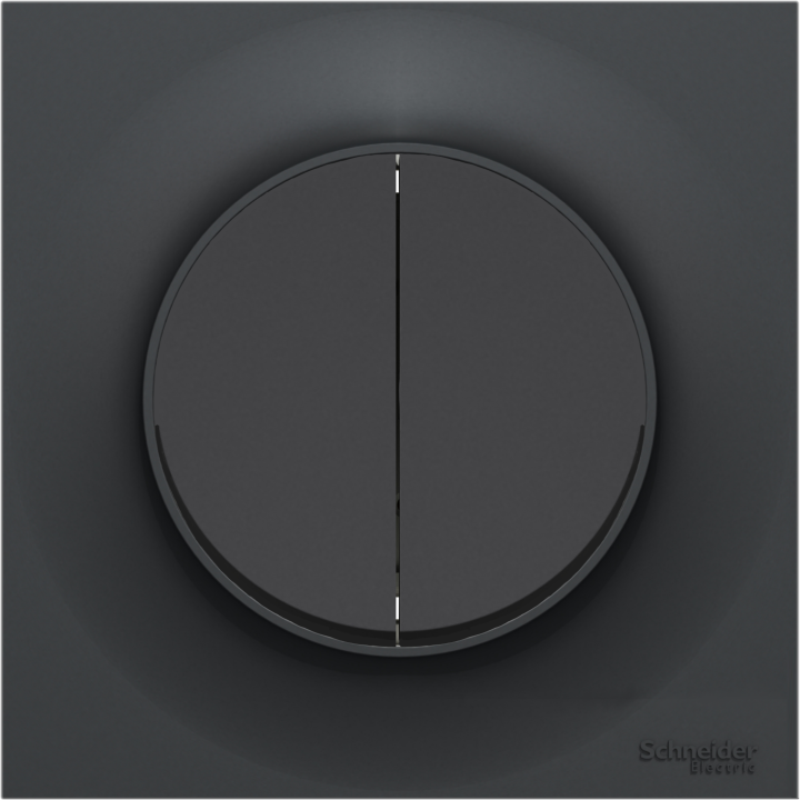 Schneider Odace - Double Bouton Poussoir - Anthracite - Complète - Réf : S540216 + S540702