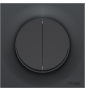 Schneider Odace - Double Bouton Poussoir - Anthracite - Complète - Réf : S540216 + S540702