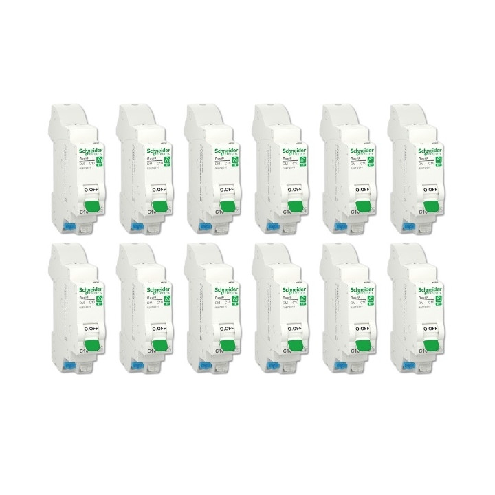 SCHNEIDER - LOT DE 12 DISJONCTEURS XE AUTO 10A - R9EFC610