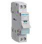 Hager - Interrupteur sectionneur 2P - 25A - 1M - SBN225