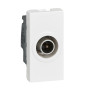 Legrand Mosaic - Prise TV simple - 1 module - Mâle - 078793