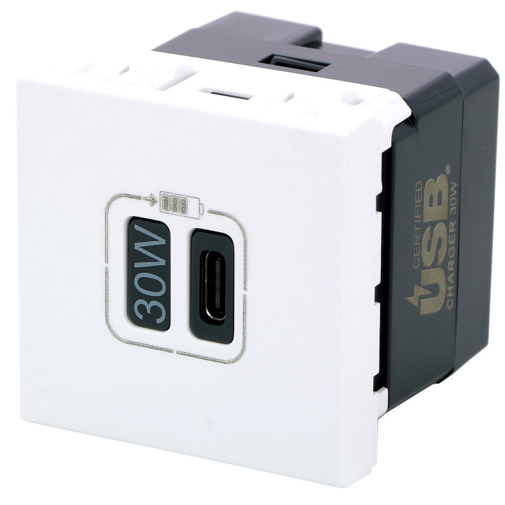 Legrand - Mosaic - Chargeur Simple USB Type-C - 3A - 30W Power Delivery - 2 Modules - Réf : 077585L