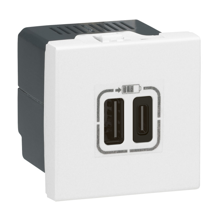 Legrand - Prise chargeur USB Type-A + Type C 3A 5V 15W - 230V - Réf : 077592