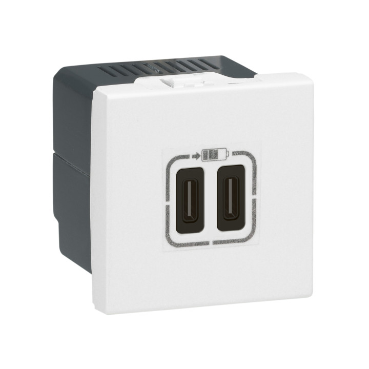 Legrand - Prise chargeur USB 2 - Type-C -  3A - 5V - 15W - 230V - 2 Modules - Réf : 077590